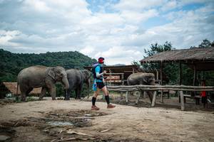 BIB: 
                            <button type="button" onclick="openModal(22424110)" class="btn btn-primary btn-sm float-right btn-popup" data-toggle="modal" data-target=".modal-high-quality">
                        <i class="fas fa-shopping-cart"></i> Add to Cart
                    </button>
                                            <button type="button" onclick="isThisMe(22424110, true)" class="btn btn-success btn-sm float-right btn-popup btn-isme hidden" data-toggle="tooltip" data-placement="bottom" title="นี่คือรูปของคุณใช่ไหม คลิกที่นี่เพื่อเอาเข้าอัลบั้ม">
                        <i class="fas fa-plus"></i> Add to album
                    </button>
                    <button type="button" onclick="isThisMe(22424110, false)" class="btn btn-warning btn-sm float-right btn-popup btn-isnotme hidden">
                        <i class="fas fa-ban"></i> Remove from album
                    </button>